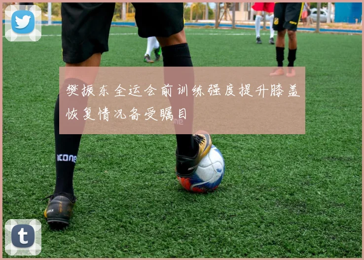 樊振东全运会前训练强度提升膝盖恢复情况备受瞩目